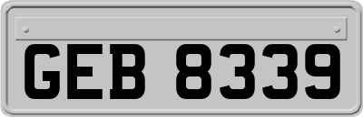 GEB8339