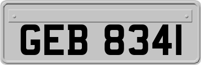 GEB8341