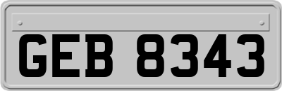GEB8343