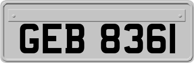GEB8361