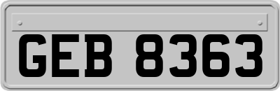 GEB8363