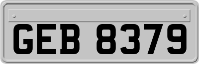 GEB8379