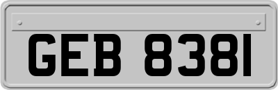 GEB8381