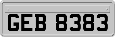 GEB8383
