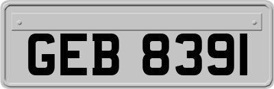 GEB8391