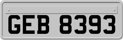 GEB8393