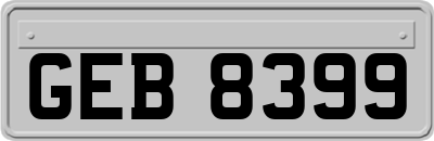 GEB8399