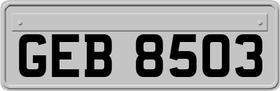 GEB8503