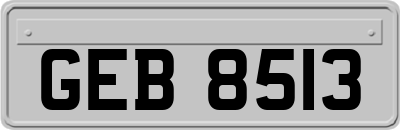 GEB8513