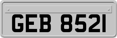 GEB8521