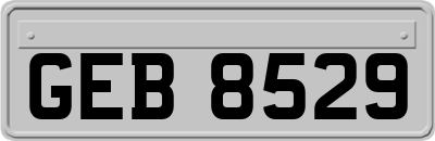 GEB8529