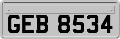 GEB8534