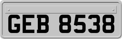 GEB8538