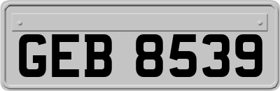 GEB8539
