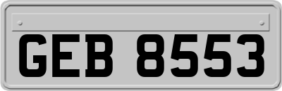 GEB8553