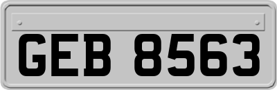 GEB8563