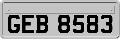 GEB8583
