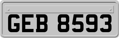 GEB8593