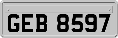 GEB8597