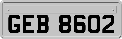 GEB8602