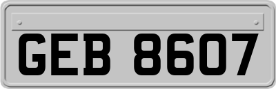 GEB8607