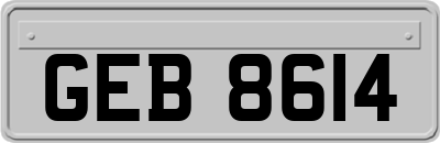 GEB8614