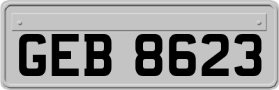 GEB8623