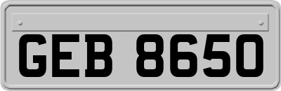 GEB8650