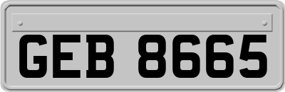 GEB8665