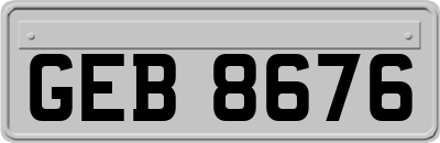 GEB8676
