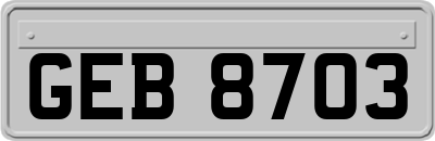 GEB8703