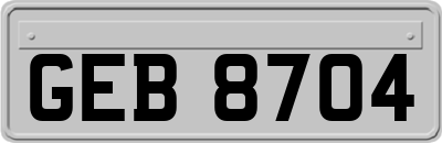 GEB8704
