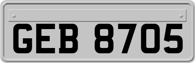 GEB8705