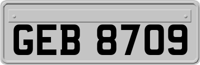 GEB8709