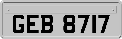 GEB8717