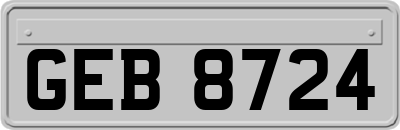 GEB8724