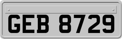 GEB8729