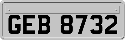 GEB8732