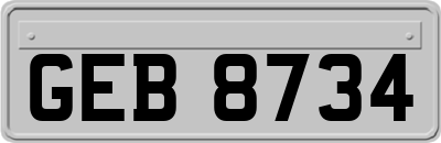 GEB8734