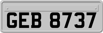 GEB8737