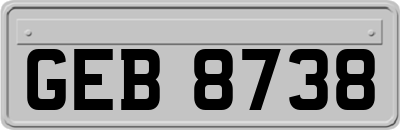 GEB8738