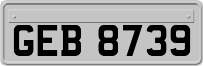 GEB8739