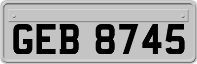 GEB8745