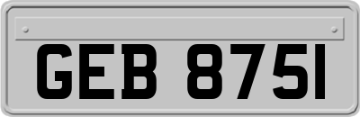 GEB8751