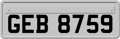 GEB8759