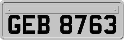 GEB8763