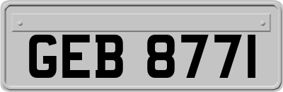 GEB8771