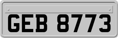 GEB8773