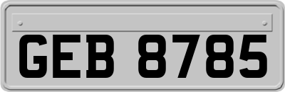 GEB8785