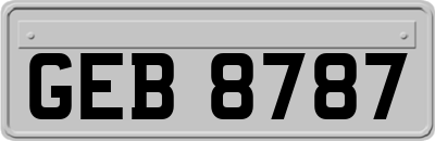 GEB8787
